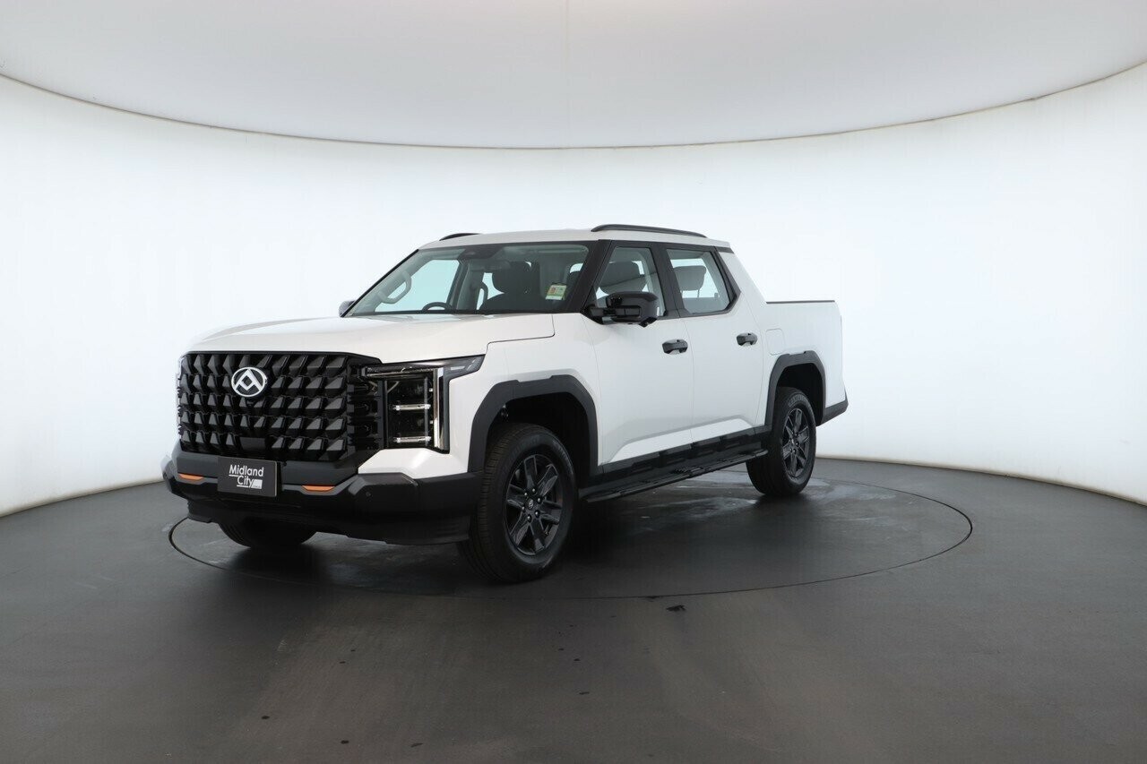 LDV Terron 9 image 4