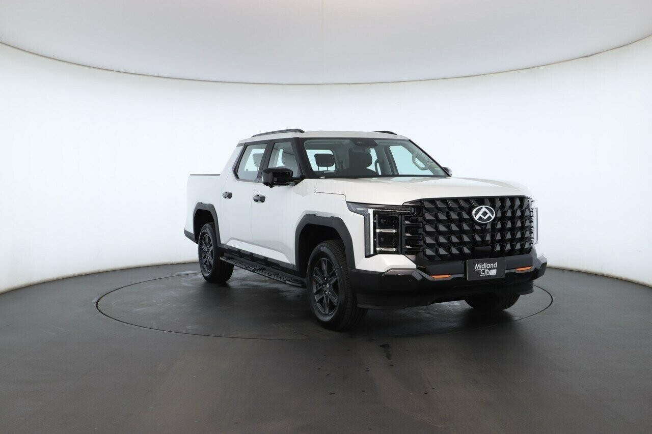 LDV Terron 9 image 2