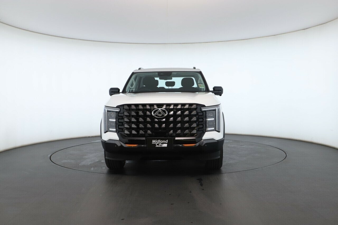 LDV Terron 9 image 3
