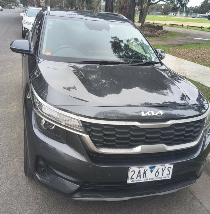 Kia Seltos image 1