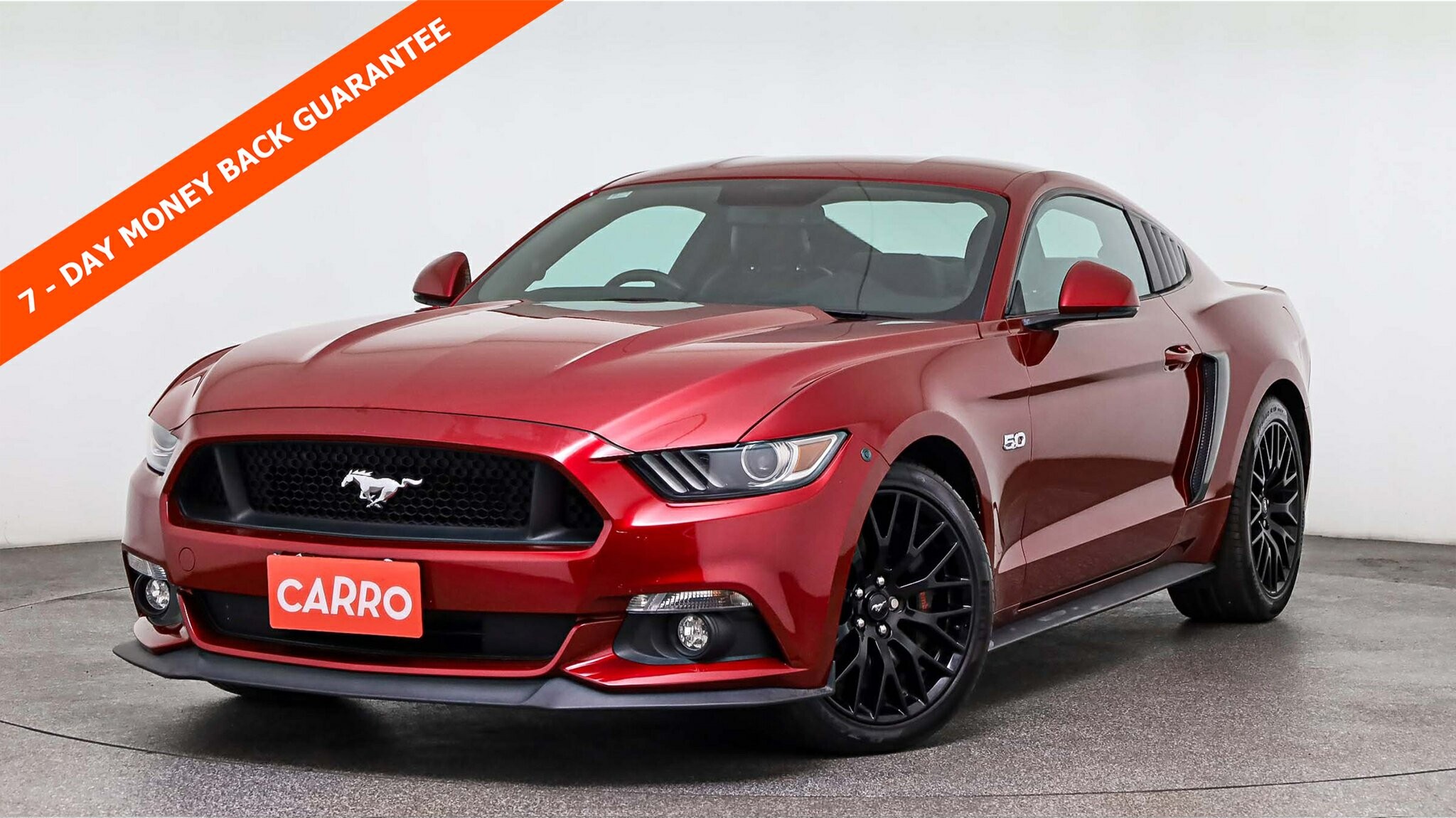 Ford Mustang image 1