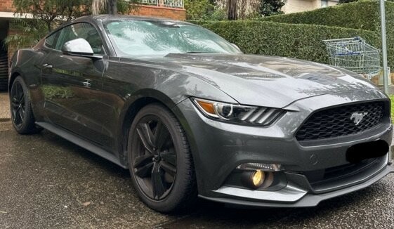 Ford Mustang image 1