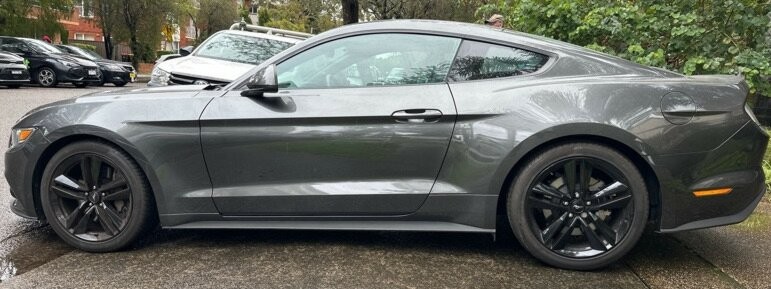 Ford Mustang image 4