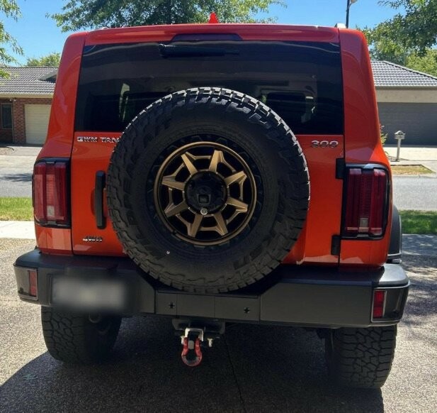 Gwm Tank 300 image 3