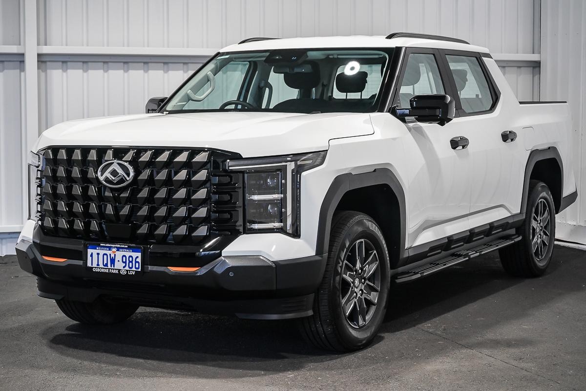 LDV Terron 9 image 4