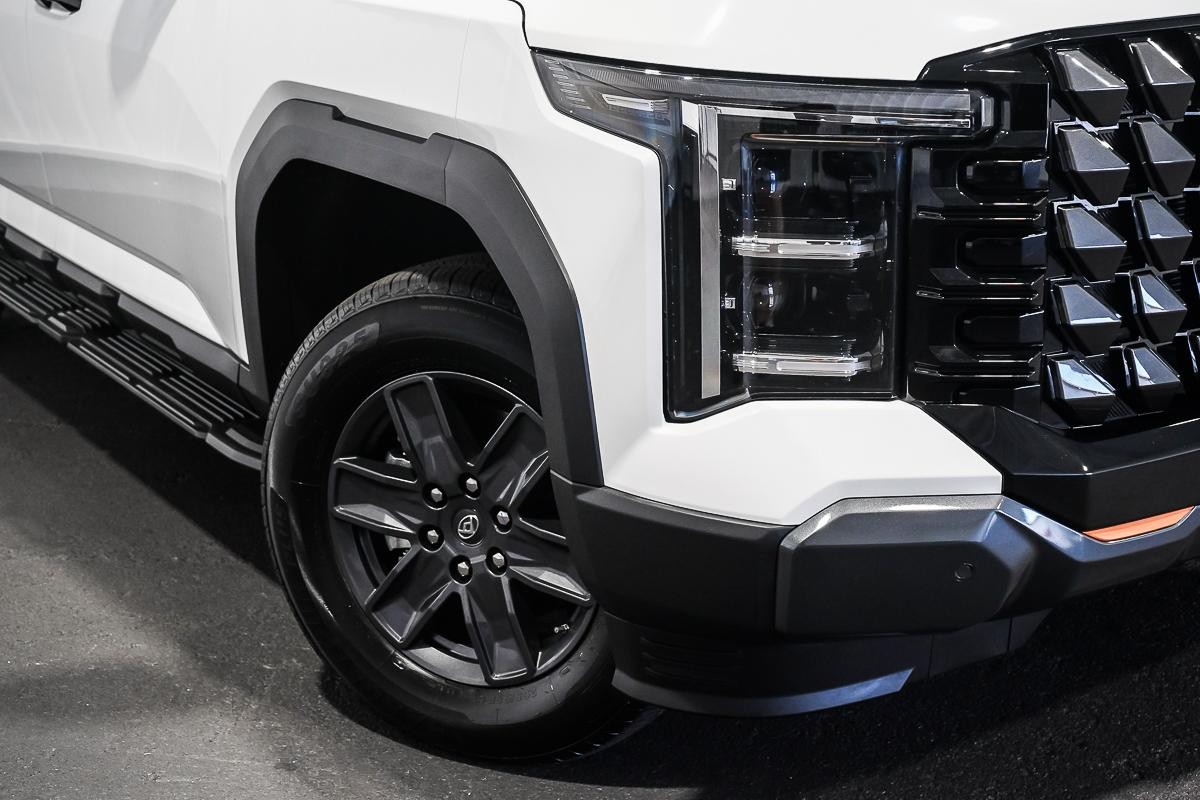 LDV Terron 9 image 2