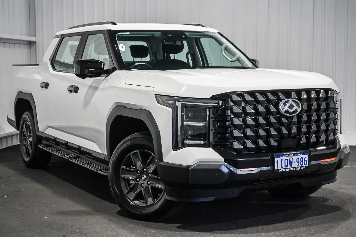 LDV Terron 9 image 1