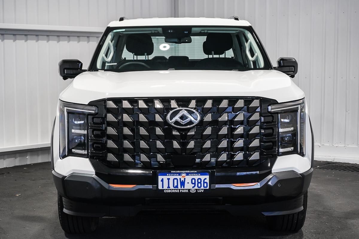 LDV Terron 9 image 3