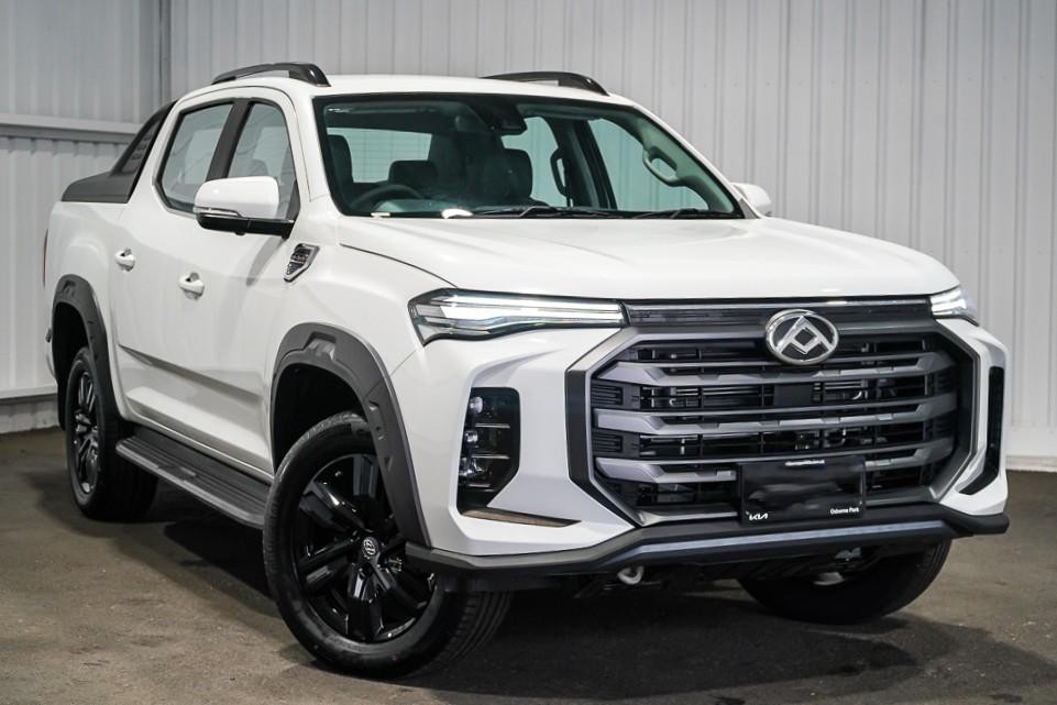 LDV T60 image 1