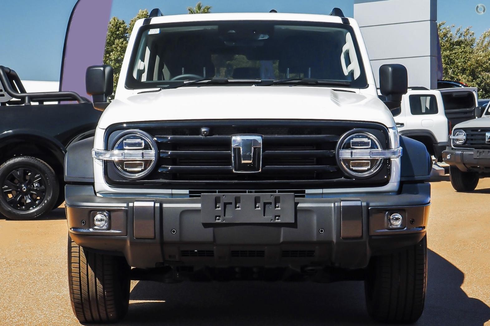 Gwm Tank 300 image 2