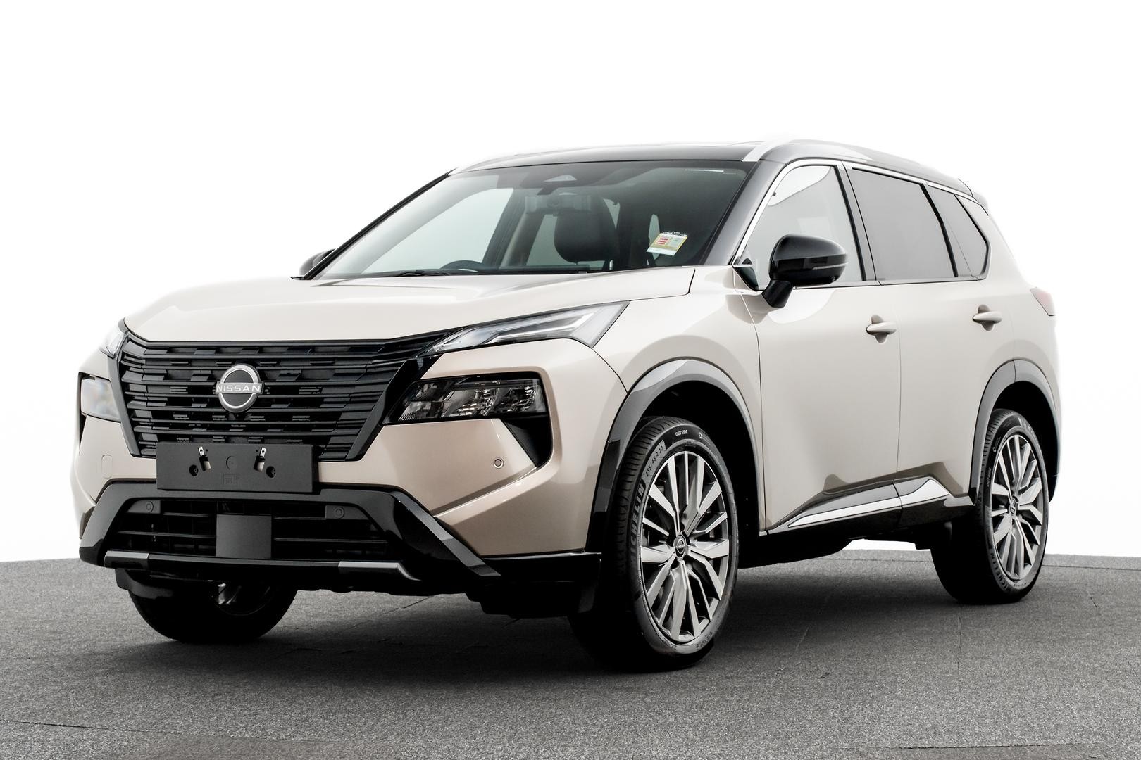 Nissan X-trail image 1