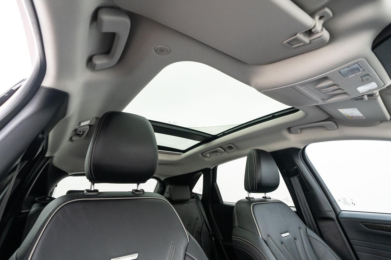 Ford Escape image 4