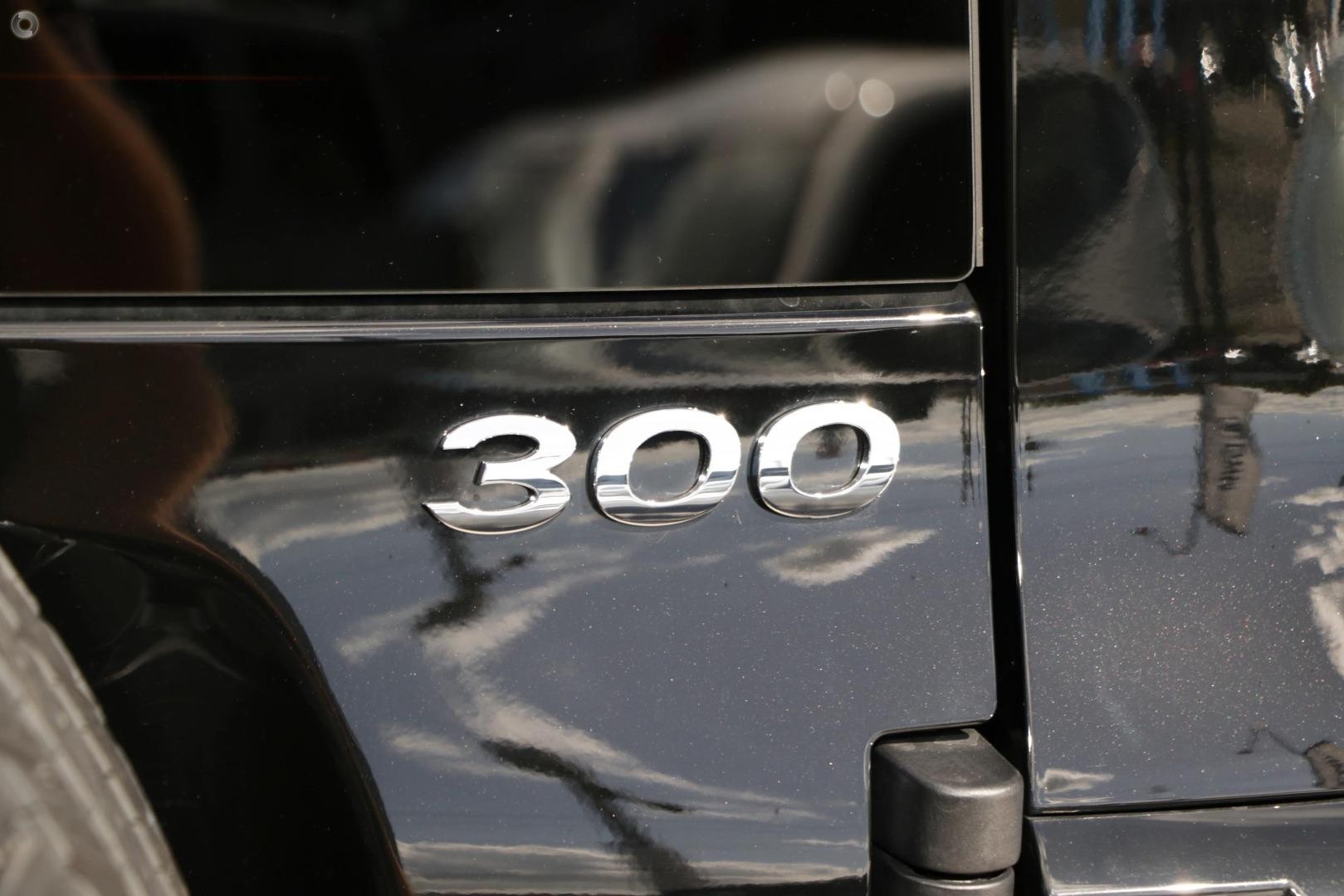 Gwm Tank 300 image 4