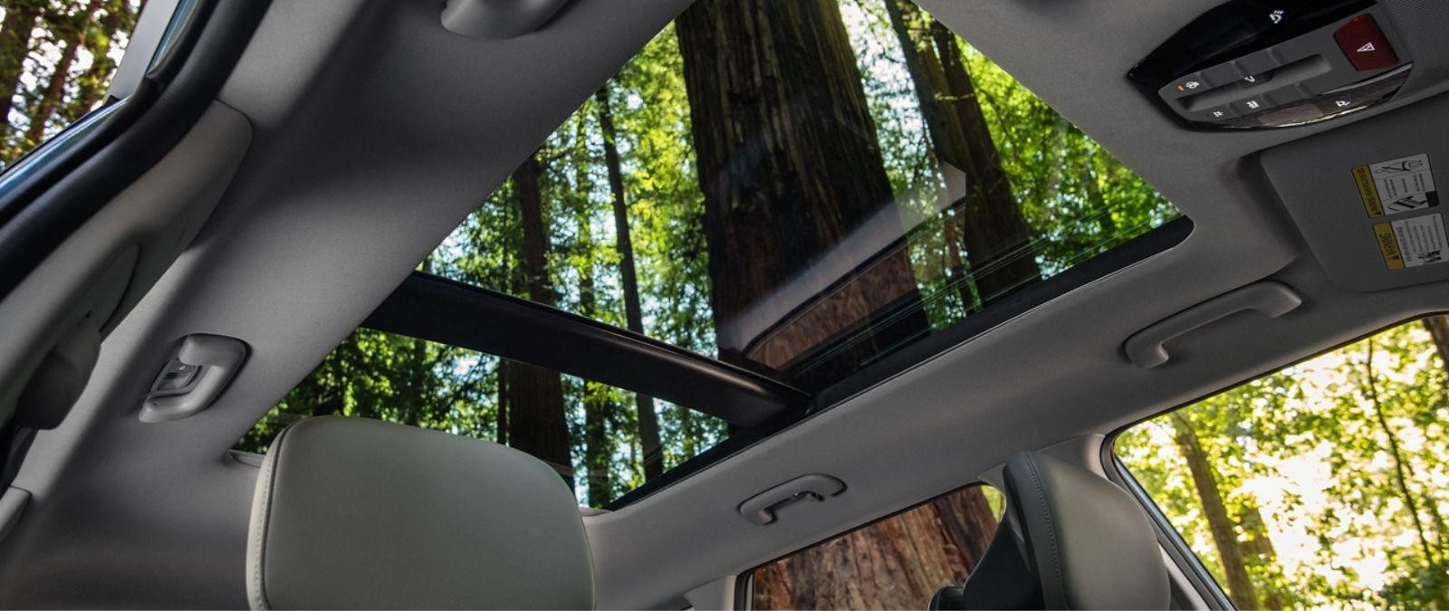 Kia Seltos image 3