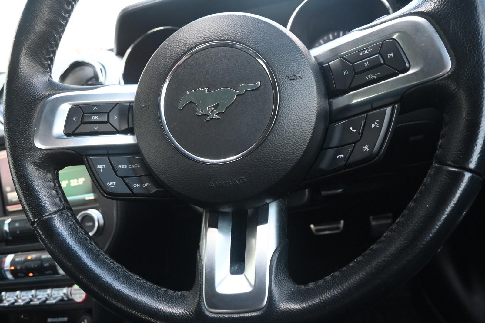 Ford Mustang image 4