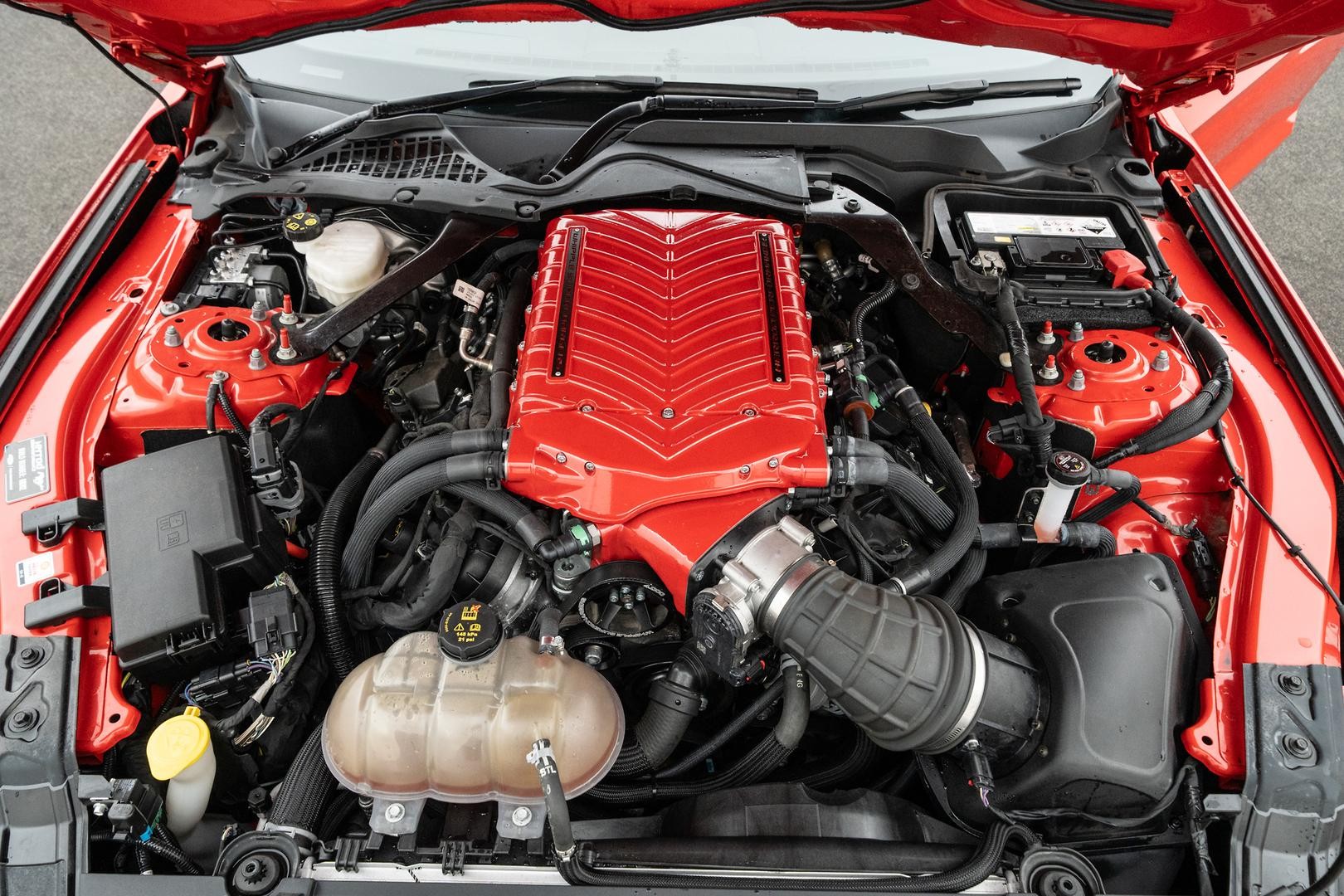 Ford Mustang image 4