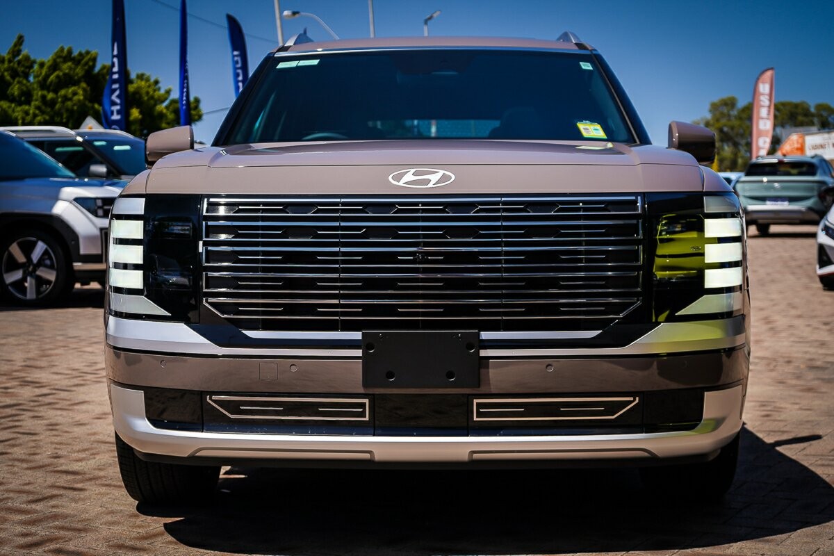 Hyundai Palisade image 3