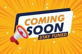 Mitsubishi Express image 1