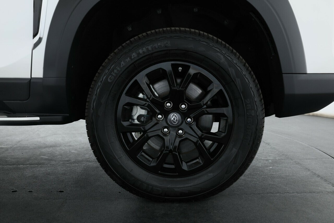 LDV D90 image 4
