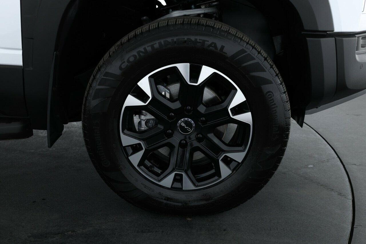 Byd Shark 6 image 4