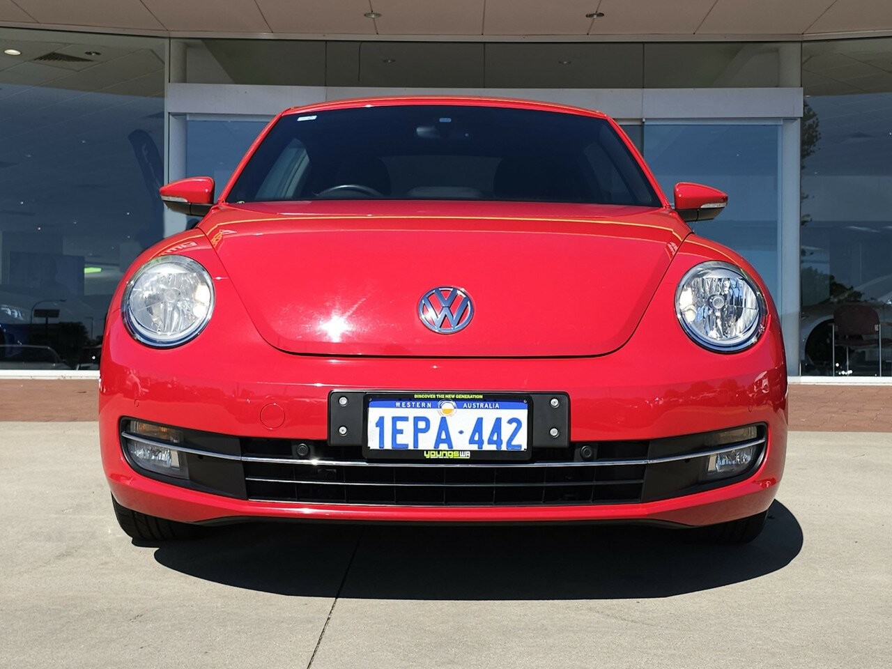Volkswagen Beetle image 2