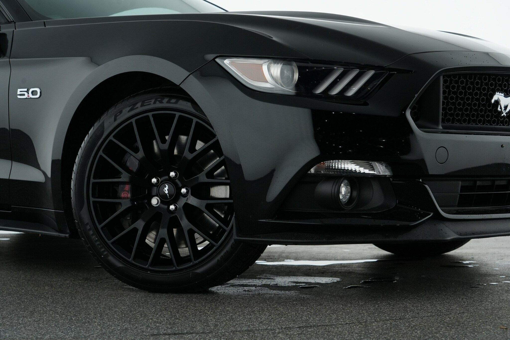 Ford Mustang image 2