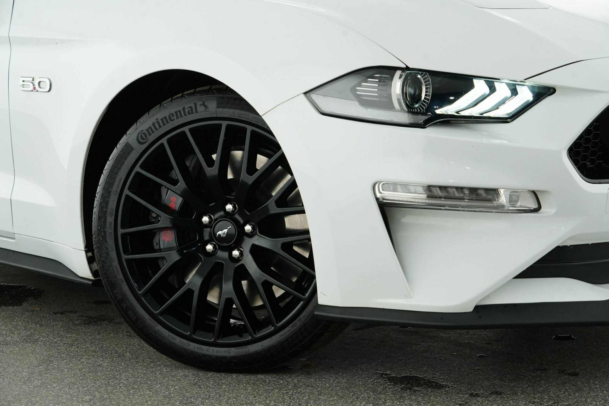 Ford Mustang image 2