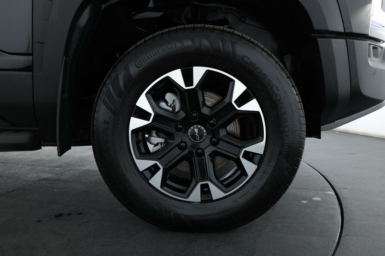 Byd Shark 6 image 4