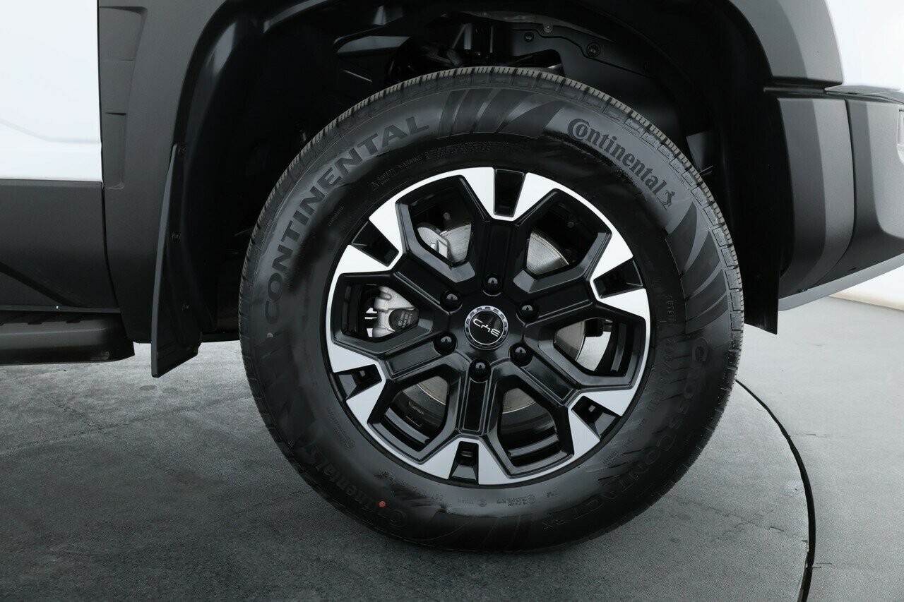 Byd Shark 6 image 4
