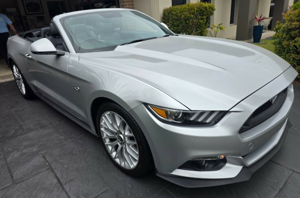 Ford Mustang image 1