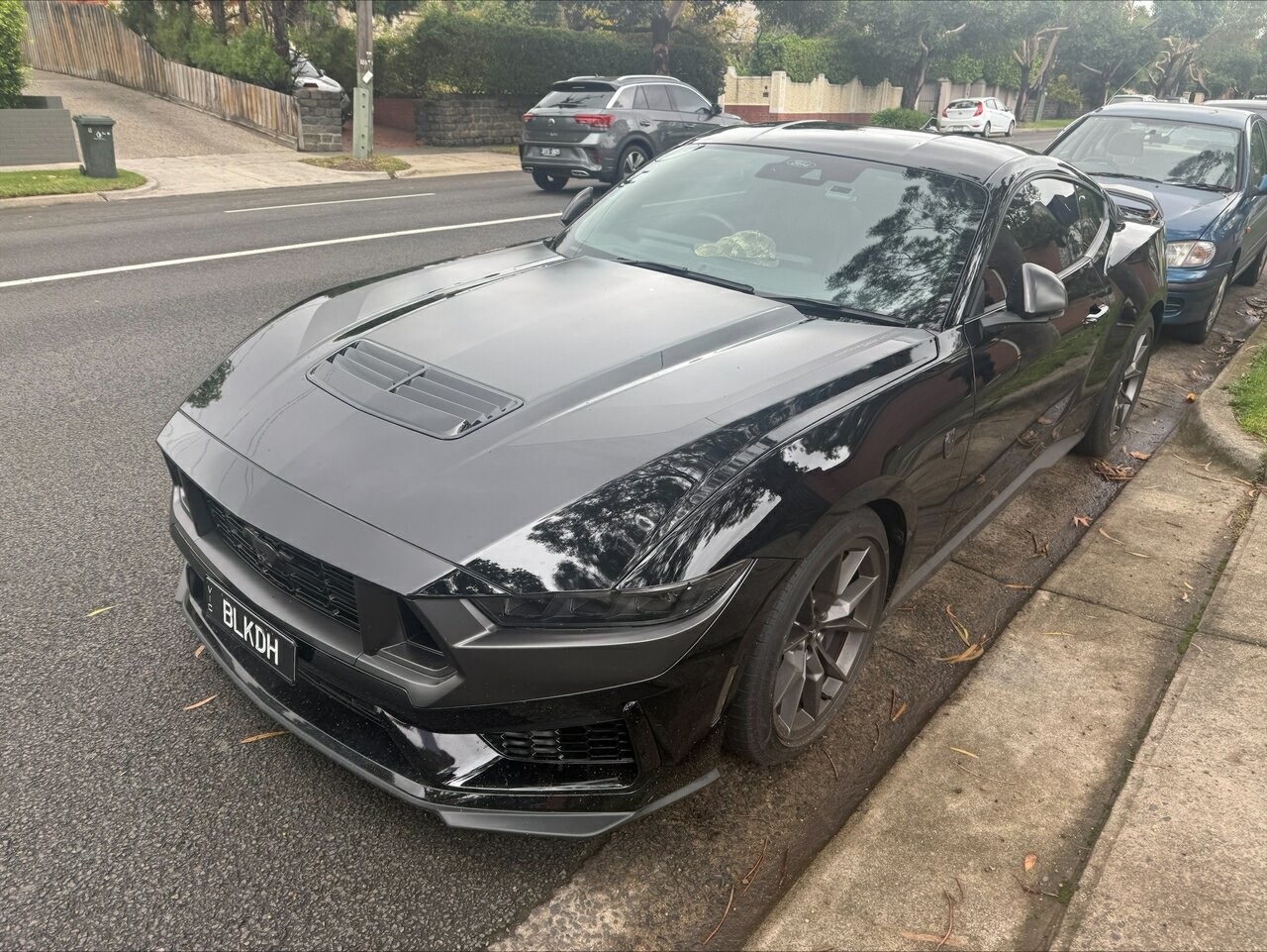 Ford Mustang image 1