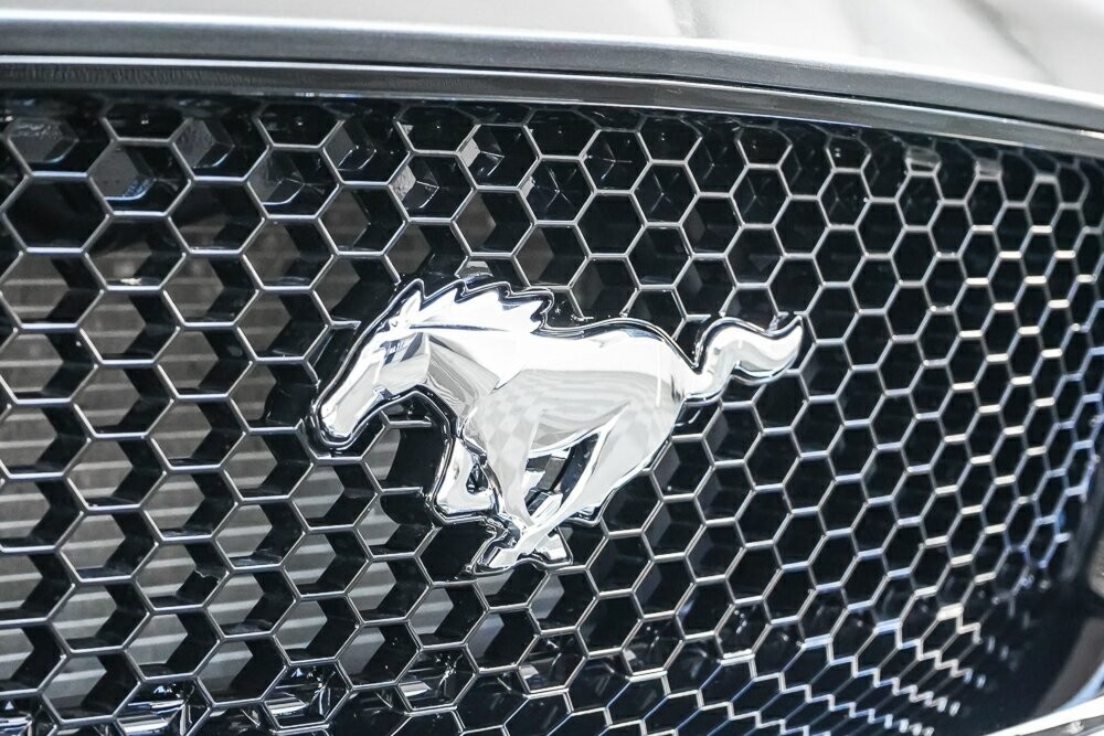 Ford Mustang image 2