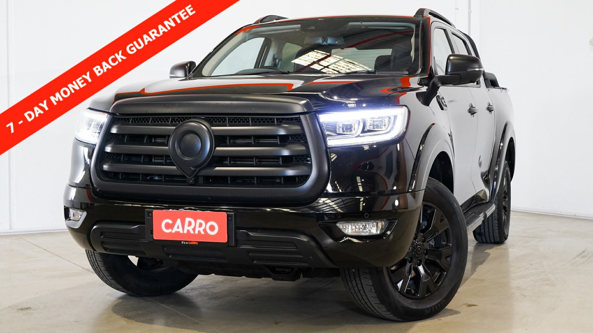 Gwm Ute image 1