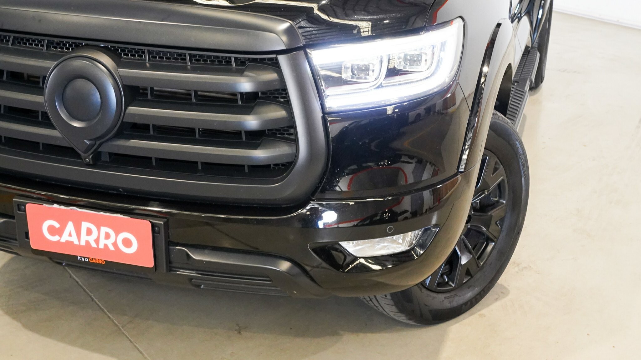 Gwm Ute image 2