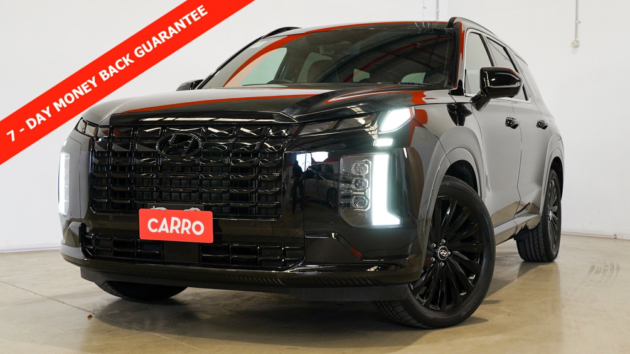 Hyundai Palisade image 1