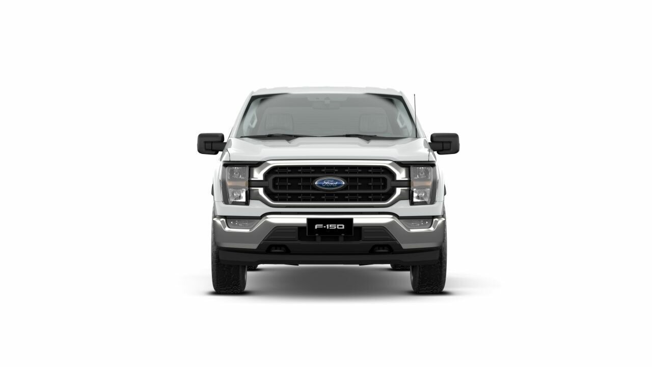 Ford F-150 image 2