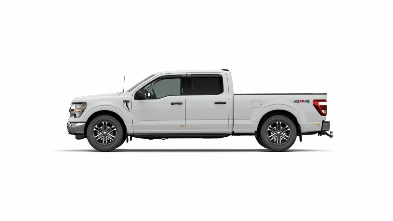 Ford F-150 image 3