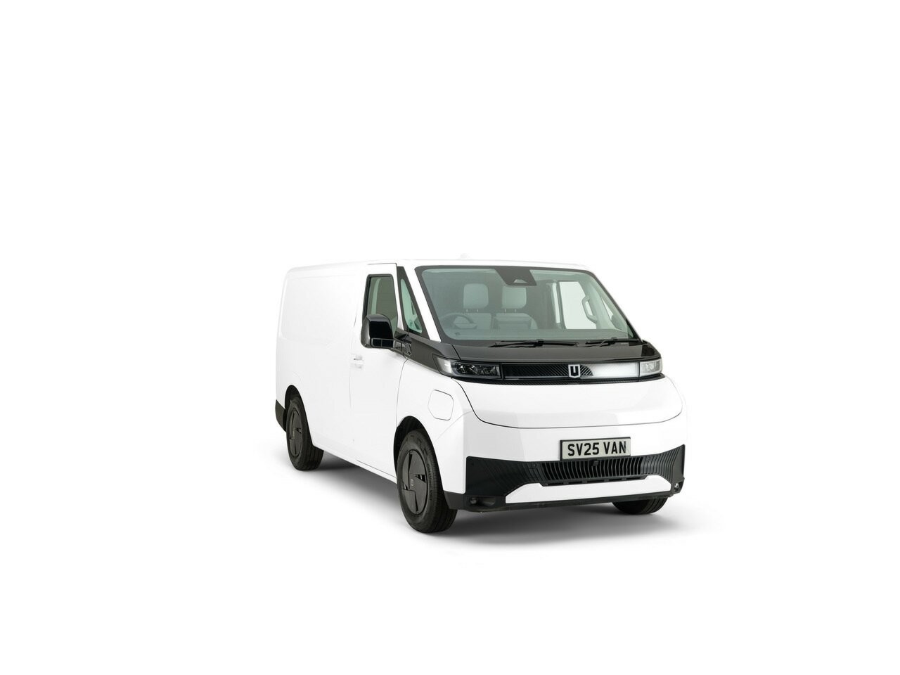 Farizon Supervan image 2