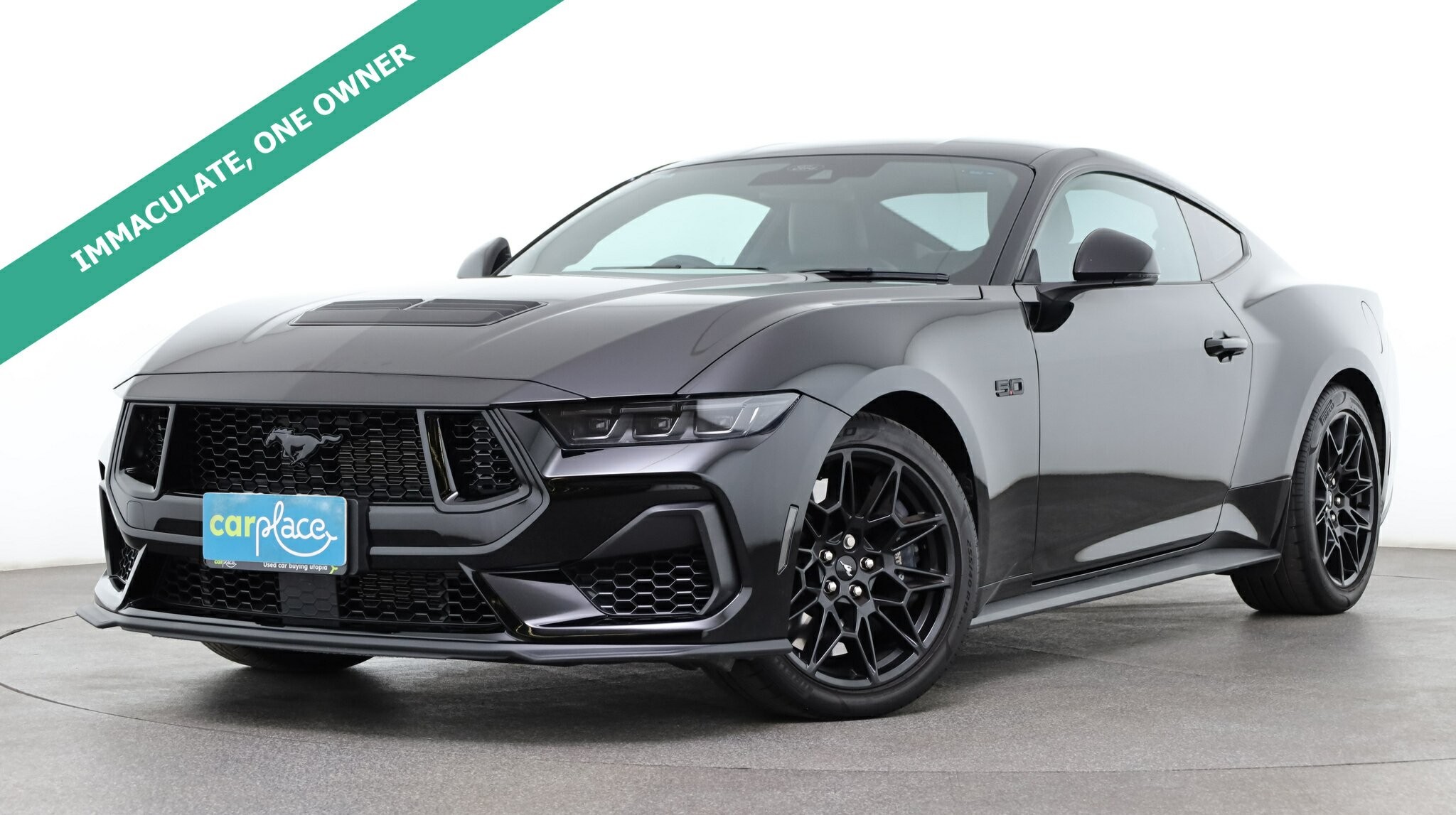 Ford Mustang image 1