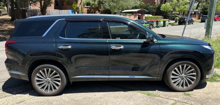 Hyundai Palisade image 2