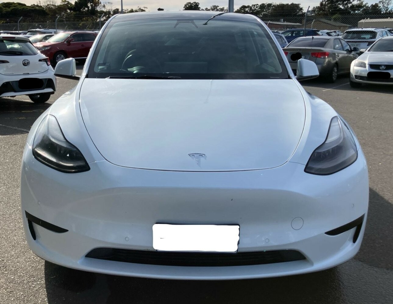 Tesla Model Y image 1